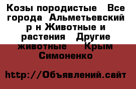 Козы породистые - Все города, Альметьевский р-н Животные и растения » Другие животные   . Крым,Симоненко